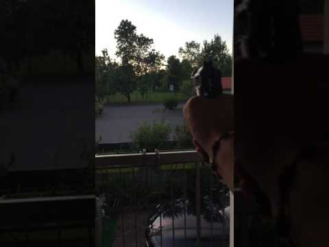 Beretta 92 Co2 UMAREX ALLENAMENTO DIVIETI