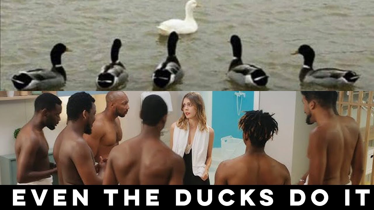 Memes Of The Week #313