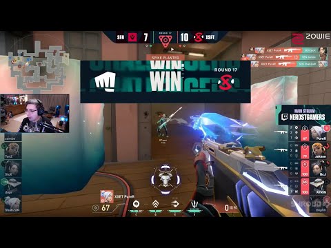 Shroud reacts XSET PureR 4K