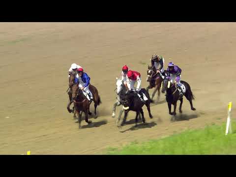 PE, 23. 6. 2019, 4. dostih - Cena společnosti Falcon security, s.r.o.