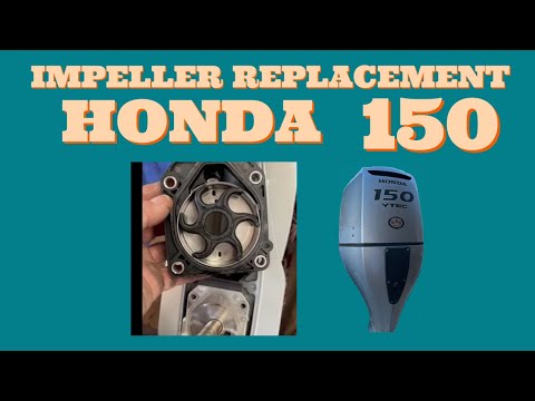 Impeller replacement on Honda 150 outboard water pump @fairplayfishing