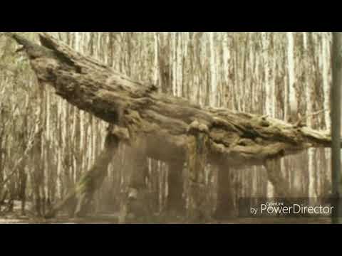 Rugido de Spore Mantis (2017)