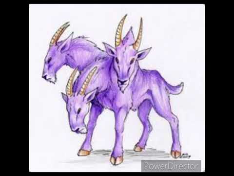 Bmgwoodz x bmg skeez x 2YN Kelo- 3 headed goat’s