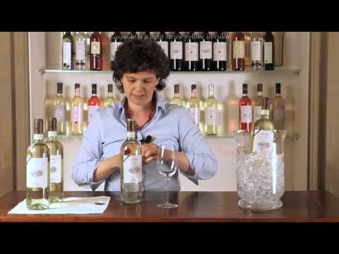 Orvieto Casasole wine tasting - English Subtitles