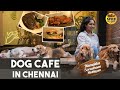 Namakku Soru Dhaan Mukkiyam Dog Cafe In Chennai The Bark RJ Saru Spice My Food