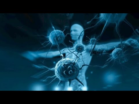 ✅  Zioła przeciwwirusowe – 12 najsilniej działających naturalnych substancji