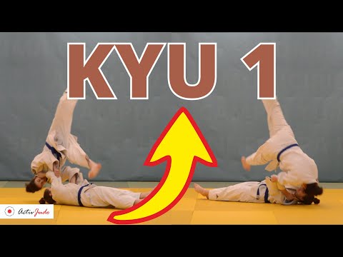 Judo - BROWN Belt !?!
