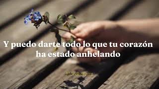 Pain- This Beautiful Republic (traducida al español)