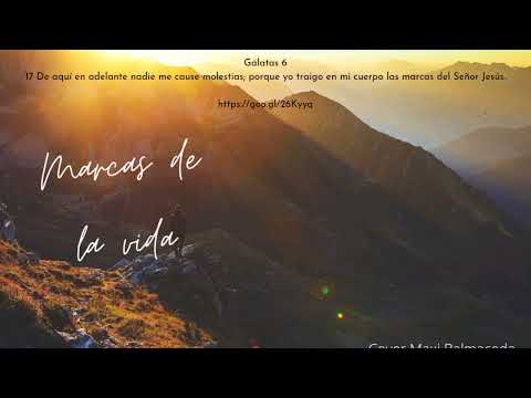 Marcas de la Vida Cover
