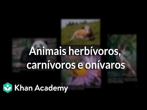 , title : 'Animais herbívoros, carnívoros e onívaros'