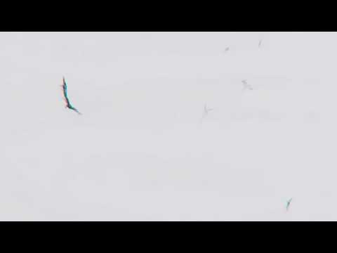 Ramirez - does it real good X samurai champloo amv