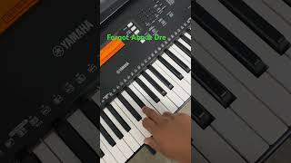Forgot About Dre - Keyboard #keyboard #drdre #eminem #forgotaboutdre #rap #piano