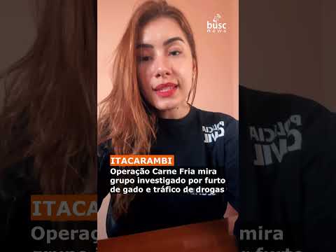 Operação Carne Fria mira grupo investigado por furto de gado e tráfico de drogas, em Itacarambi