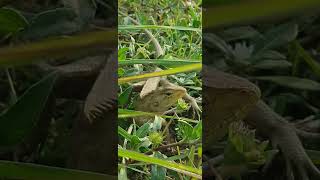 Download lagu https://www.facebook.com/share/1B1FAPjUMG/https://www.tiktok.com/@phethsan?_t=ZS-8w2ins884Ps&_r=1 mp3 Download lagu https://www.facebook.com/share/1B1FAPjUMG/https://www.tiktok.com/@phethsan?_t=ZS-8w2ins884Ps&_r=1 mp3