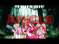 Precure Miracle Leap Welcome To The Jungle MINI AMV