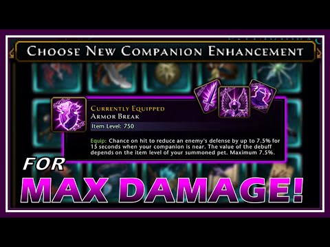 The BEST Companion Enhancements you NEED to USE for MAX DAMAGE! (Dps & Support) - Neverwinter M24