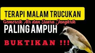 Download lagu Terapi Trucukan Malam Hari dengan Gemercik Air dan Suara Jangkrik, Trucukan Stres Langsung Bunyi mp3