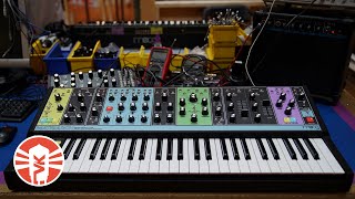 Video thumbnail for Moog Matriarch | Analog Synthesizer | Vintage King by Vintage King