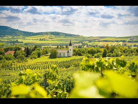 Tokaj wine region of Hungary, full