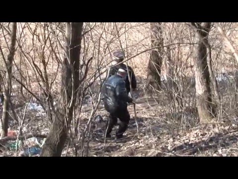 jurnal 13 04 2016 agresor pod gobej dus la vedea   razvan grigore