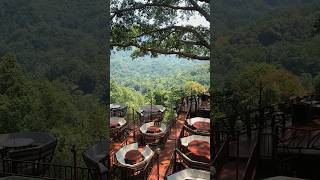 Download lagu Gorgeous Tree house cafe : The Giant Chiang Mai #cafe #hiddengem #maeon mp3