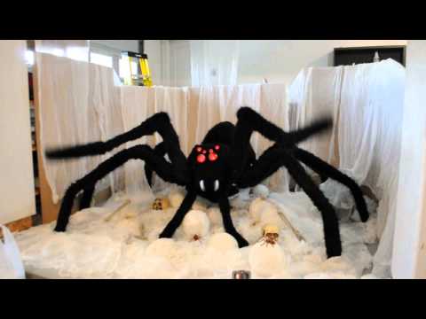 Giant Spider Lair