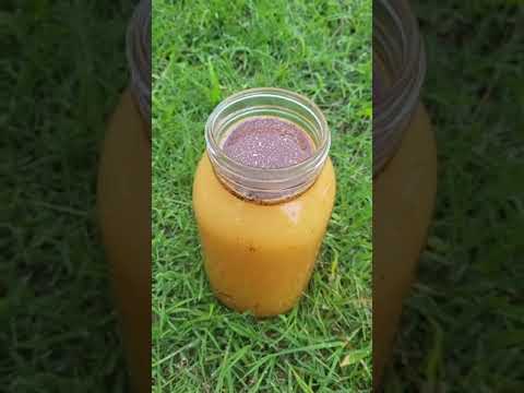 piranha solution with chicken leg