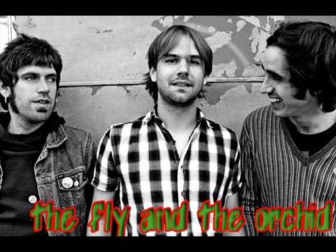 The Fly And The Orchid - Idioterne