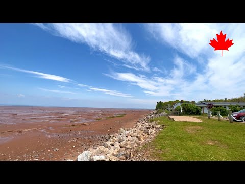 【Nova Scotia 2023】🇨🇦 1 Minute -Evangeline Beach-