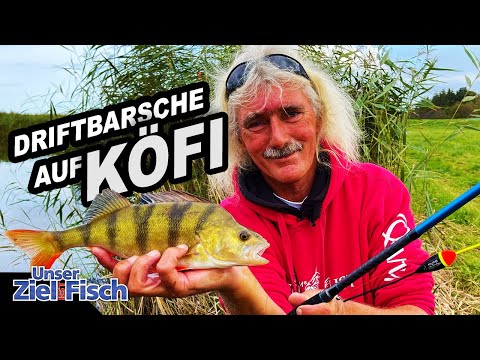 AUTUMN CHERRIES with FLOAT & BAIT FISH - BASS FISHING with JÖRG OVENS - Our goal is Fish Fishing ...