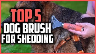 ✅Top 5 Best dog brush for shedding in 2024