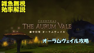 【レベルレ】効率厨による効率厨のためのオーラムヴェイル攻略