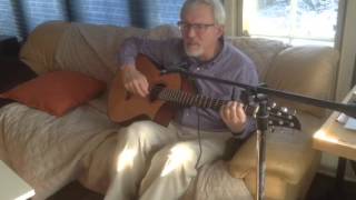 Dark swift and Bright Swallow