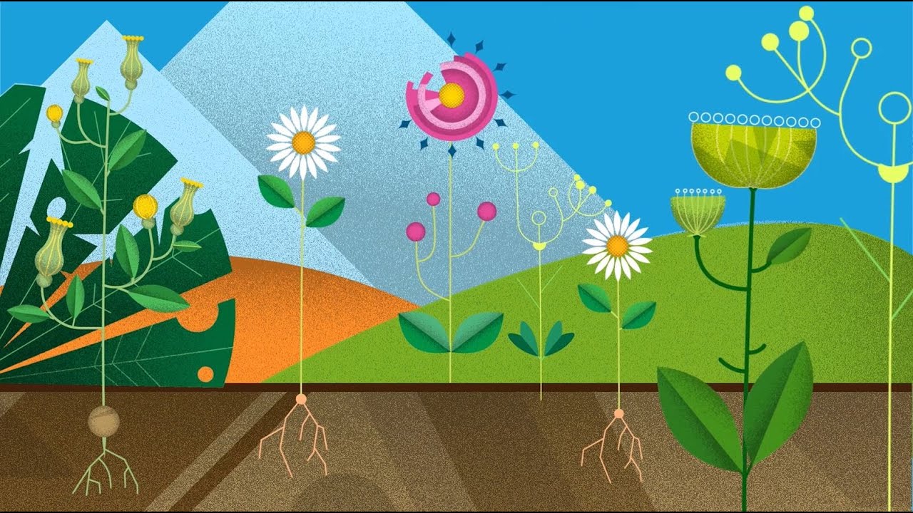 Homeowner's Guide To Wildfire Recovery