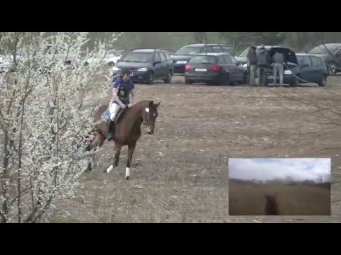 Jeanne-Karoline Heide mit Baldwina - Stil Geländeprüfung Klasse E