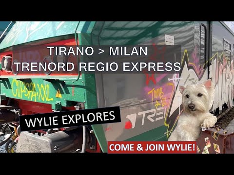 TRENORD REGIO EXPRESS: TIRANO PARA MILÃO VIA LAKE COMO: VIAGEM DE TREM COM UM CÃO NA ITÁLIA