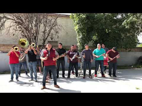 Arriba El Roble - Banda La Jaladora (A Viento)