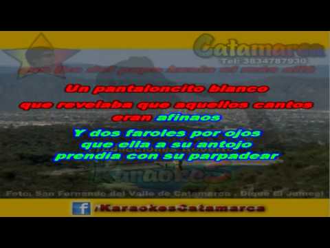 Caligaris   Nadie es perfecto  ( karaoke )  (PRODUCCIONES ROBERTO)