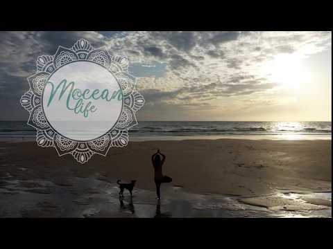 Welcome to mocean.life