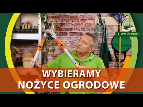 Jak wybrać nożyce do gałęzi - Z PLANTĄ W OGRODZIE