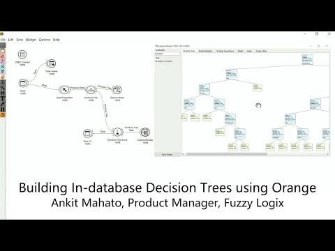 Building In Database Decision Tree Model Using Orange Data Mining