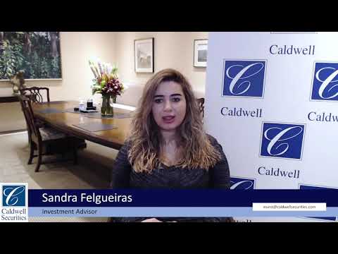 Portuguese version by Sandra Felgueiras, Investment Advisor
