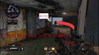 時間を短くした爽快感抜群のキルクリップ！（BO4）