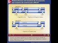 Polimorfismos de longitud de fragmento por enzima de restricción RFLP