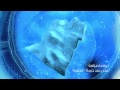 BEKO Washing Machine Campaign 2014