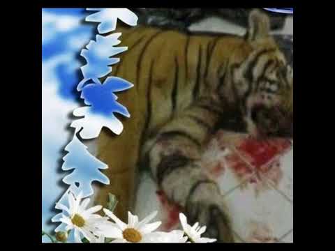 (FREE) NASCAR ALOE X SYNTH PUNK X TRIPLESIXDELETE TYPE BEAT (PROD. POZZA)