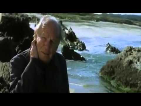 download lagu mp3 mp4 El Mar Adentro, download mp3 El Mar Adentro free download, download mp3 El Mar Adentro