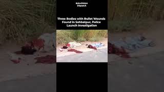Three Bodies with Bullet Wounds Found in Sohbatpur, Police Launch Investigation