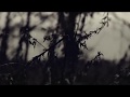 Astodan • Likha [official music video]