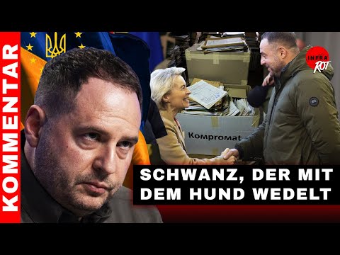 Schwanz, der mit dem Hund wedelt Video-Thumbnail von YouTube